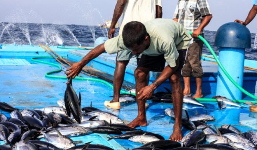 43rd Fishermen's Day in Male' City