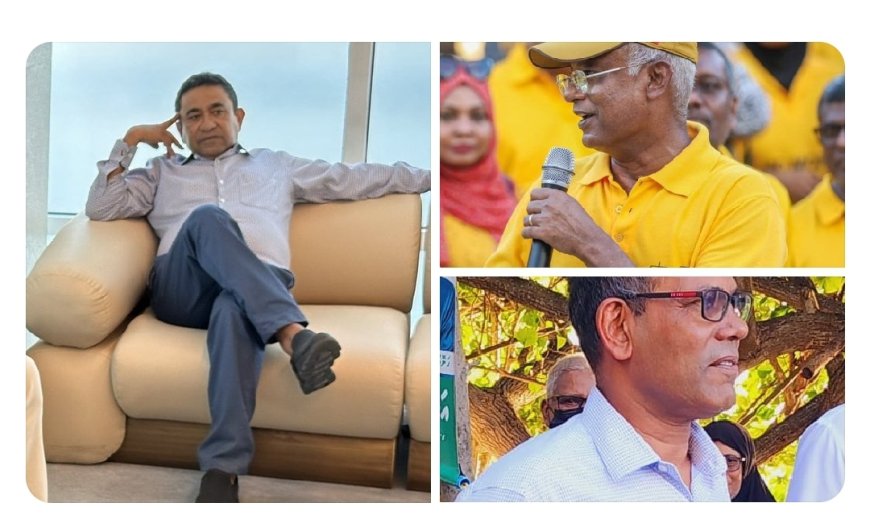 ޕީއެންއެފާއި ޑެމްސްއަށް ތާއީދެއް ނެތް